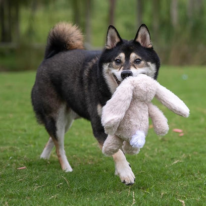 Best Pet Supplies Interactive Bunny Buddy Dog Toy with Crinkle and Squeaky Enrichment for Small and Medium Breed Puppies or Dogs, Cute and Plush - Bunny (Beige), Small