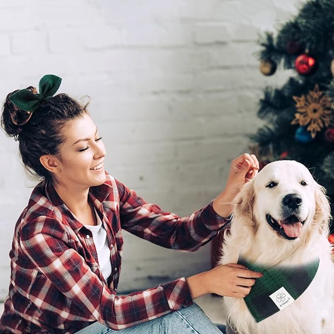 E-Clover Dog Bandanas Boy & Matching Scrunchie Set