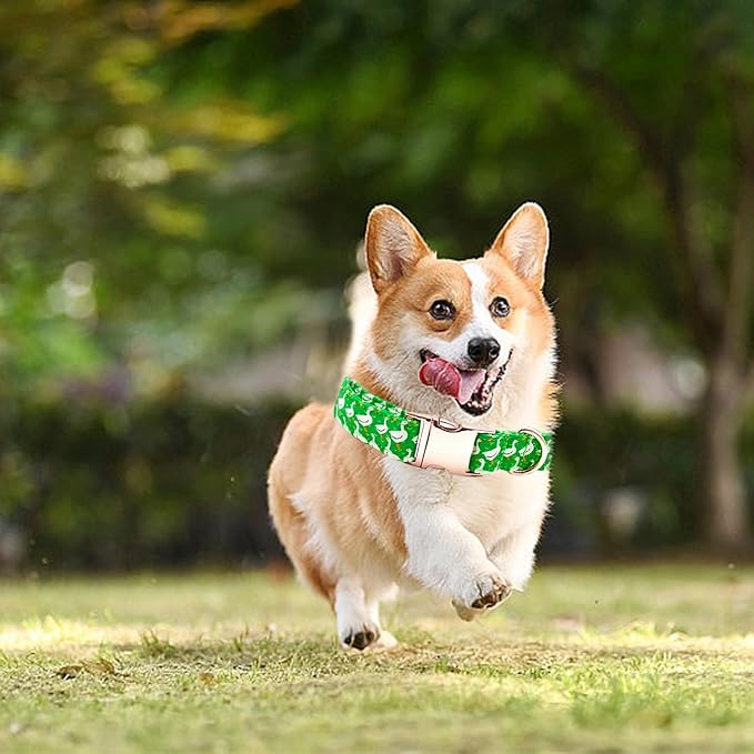 Summer Dog Collar, Animal Print Pet Collar Durable Metal Collar Dog Cute Green Boy Dog Collars Adjustable Dog Collar for Small Medium Large Dogs