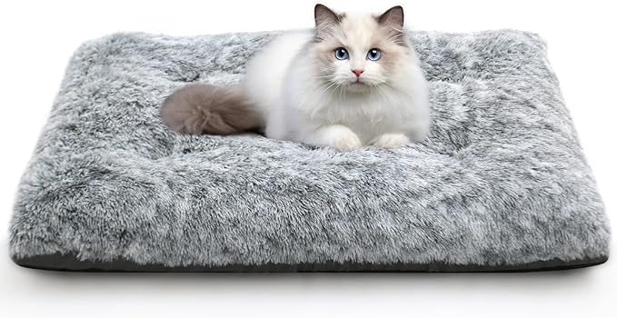 KISYYO Fixable Deluxe Plush Dog Bed or Cat Bed Ideal for Mini Pets or XXS Dog Breeds 18-Inch Dog 18 x 12 x 3 Inches,