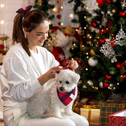 E-Clover Dog Bandanas Girl & Matching Scrunchie Set