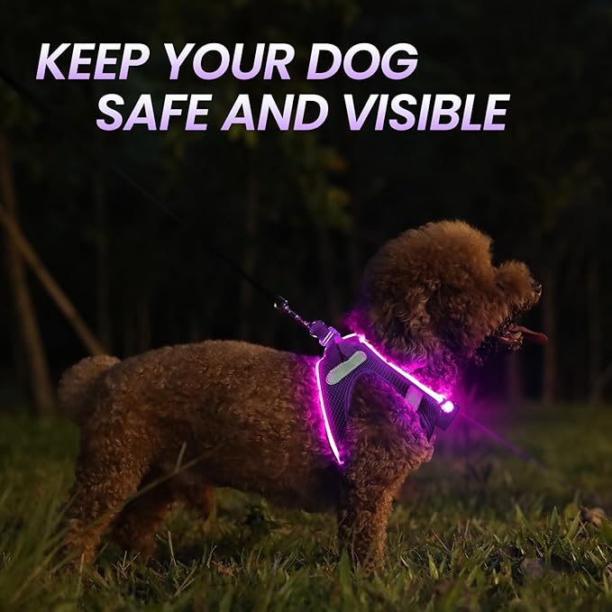 PcEoTllar Light Up Dog Harness, LED Dog Harness for Puppy Small Medium Dogs, Rechargeable No Pull Reflective Dog Harness, Flashing Lighted Dog Harness for Night Walking (Purple,M)