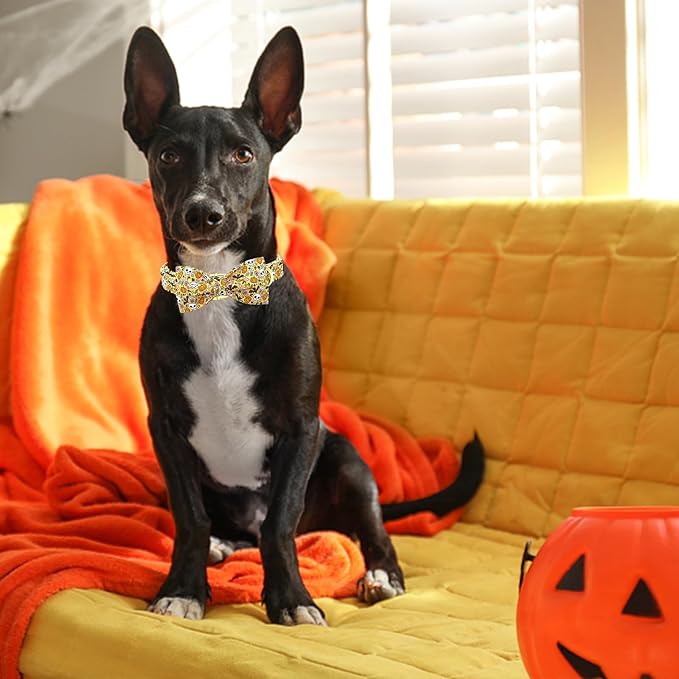 Lionheart glory Halloween Dog Collars Fall Dog Collar Skull Bowtie Dog Collar Girl Boy Pet Collar for Small Dogs Duty Adjustable Dog Collar with Bow Puppy