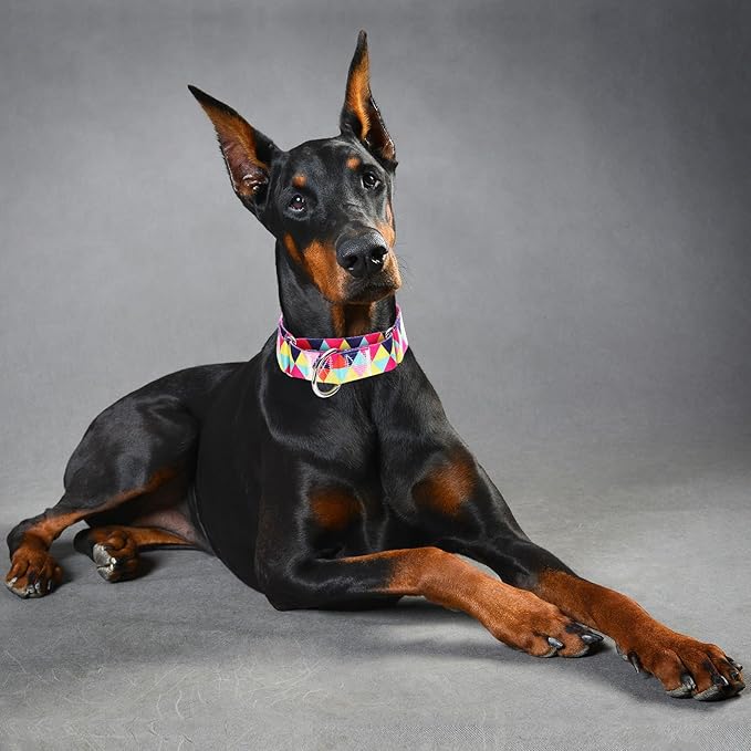 Martingale Collar 1.5 Inches Wide Dog Collar