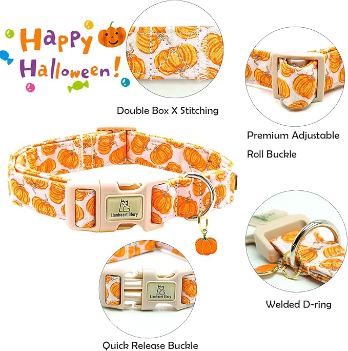 Lionheart glory Halloween Dog Collars Pumpkin Pink Dog