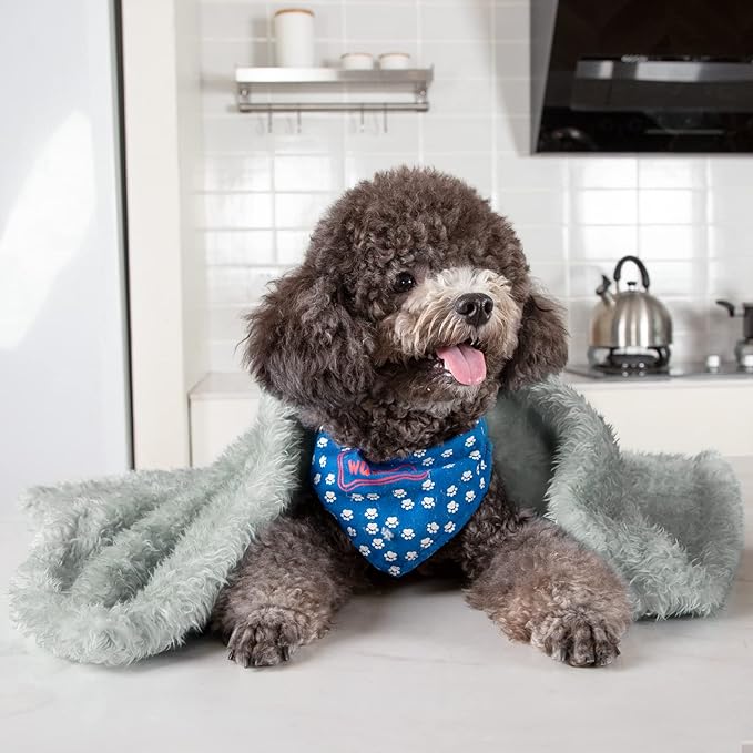 MACEVIA Fluffy Fleece Dog Blankets (24x29 Inch,