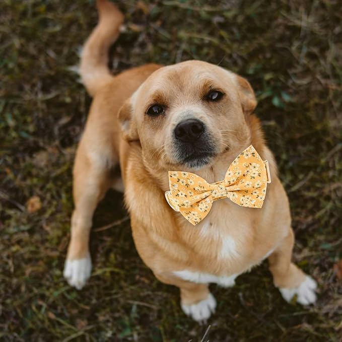 Adjustable Pet Bow Tie and Dog Collar for Small Medium Large Dogs, Puppy Collar with Bowtie, Cute Bow and Dog Collars - Comfortable, Soft, and Durable (Large, Yellow Floral)