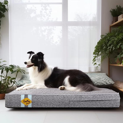 Laifug Memory Foam Dog Bed