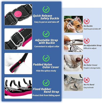 Martingale Collar for Dogs