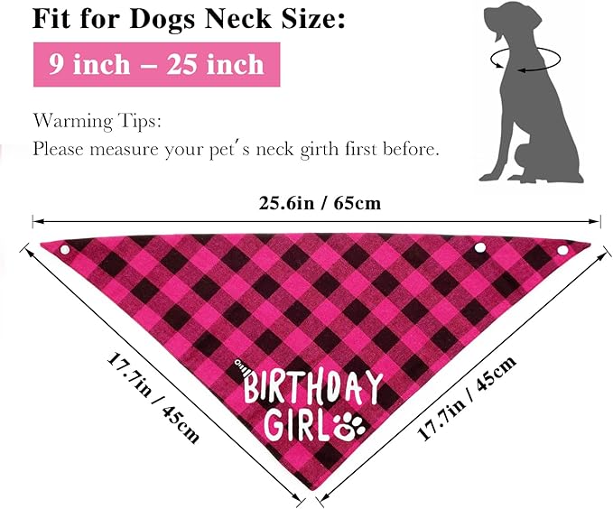 Birthday Plaid Dog Bandana with Button