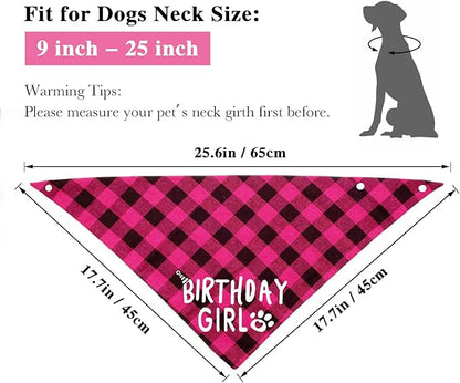 Birthday Plaid Dog Bandana with Button