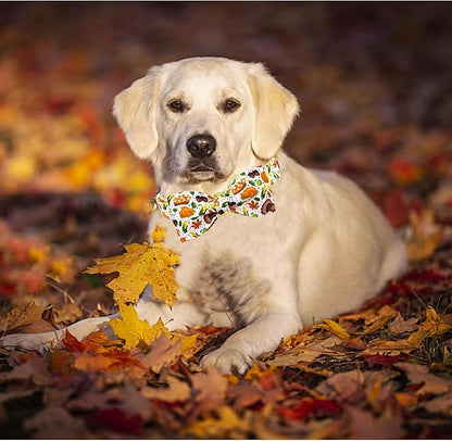 Lionheart glory Thanksgiving Dog Collar, Turkey Dog Bow Collar Adjustable Soft and Comfortable Bowtie Collars for Medium Dogs Girl or Boy Pet Gift Fall Collar Dog Bow