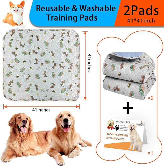 Washable Pee Pads for Dogs 2Pack 41''x41''