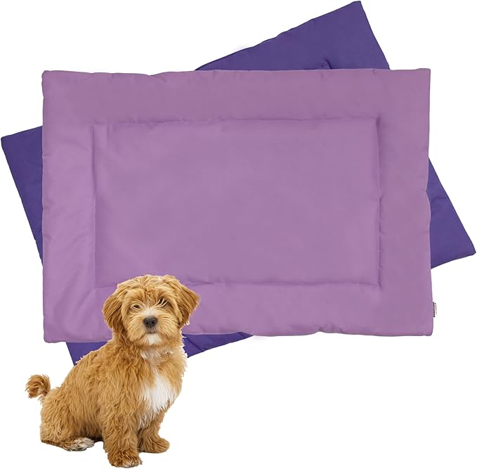 Downtown Pet Supply Dog Crate Pad 20" x 15" -