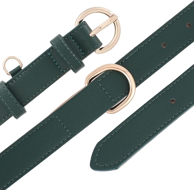 WHIPPY Soft Padded Leather Dog Collar for Small Medium Large Dogs Heavy Duty Dog Collar with Adjustable Rust-Proof Metal Hardware