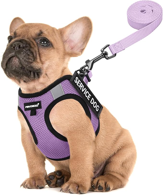 FAYOGOO Service Dog Vest for Small Breed - Lightweight Dog Harness with 6PCS Removable Patches - Puppy Harness and Leash Set for Walking,Training