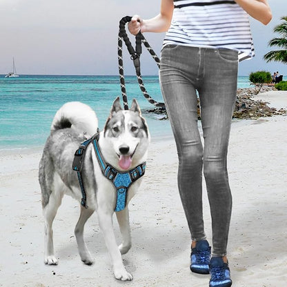BARKBAY No Pull Dog Harness Large Step in Reflective Dog Harness with Front Clip and Easy Control Handle for Walking Training Running with ID tag Pocket(Blue/Black