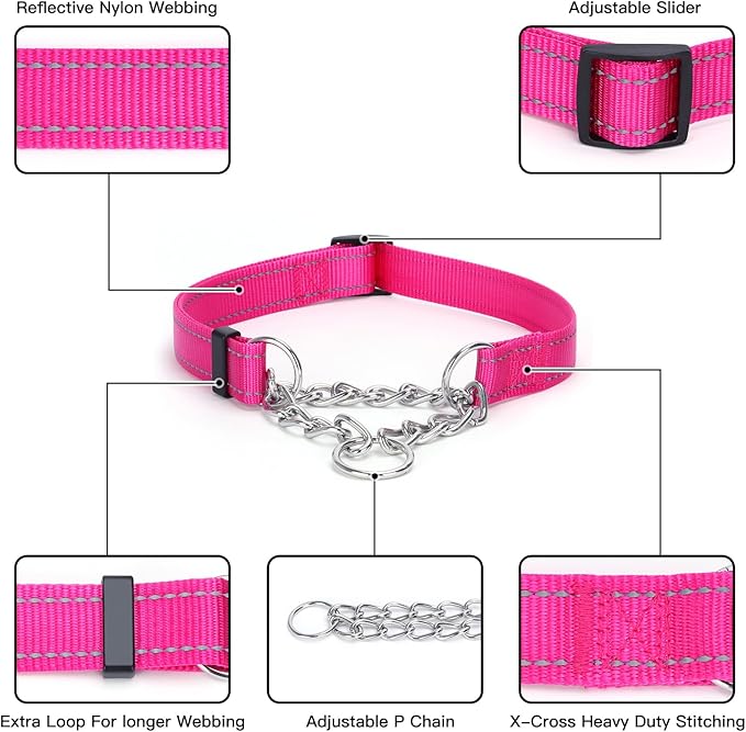 Martingale Dog Collar with Stainless Steel Chain and Leash Set 5FT Double