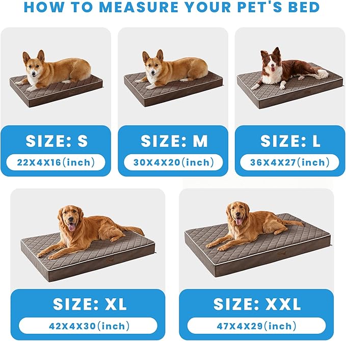 SunStyle Home Orthopedic Dog Beds for XX-Large Dogs