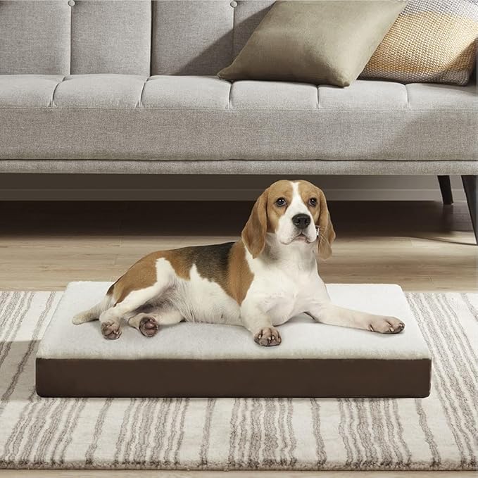 Friends Forever Orthopedic Dog Bed 30x20x3