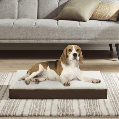 Friends Forever Orthopedic Dog Bed 30x20x3