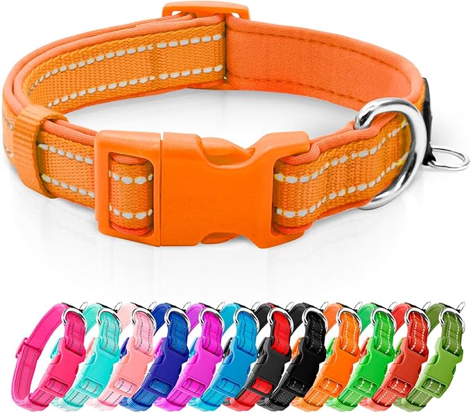 azuza Reflective Dog Collar