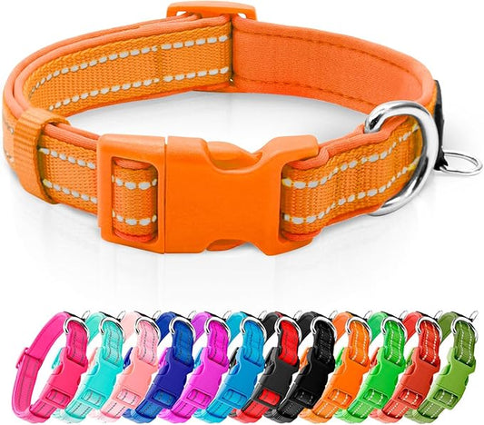 azuza Reflective Dog Collar