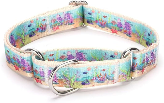 Martingale Dog Collars Blue5)