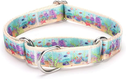 Martingale Dog Collars Blue5)