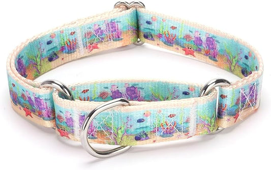 Martingale Dog Collars Blue5)