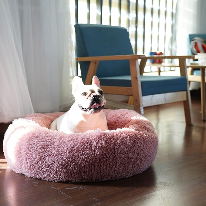 Girl Dog Bed Washable Dogs,23 inches 15 lbs