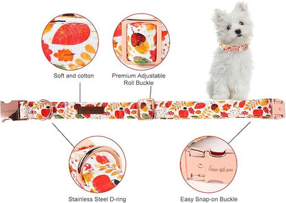 Unique style paws Dog Collar Metal Buckle Collar