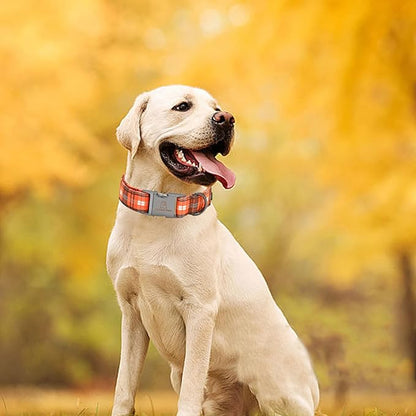 Lionheart glory Plaid Dog Collars Fall Halloween Dog