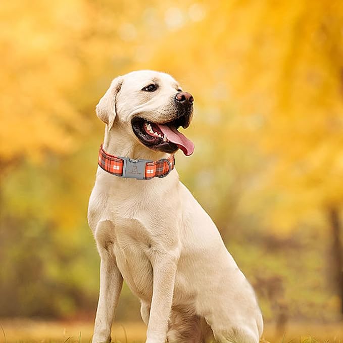 Lionheart glory Plaid Dog Collars Fall Halloween Dog