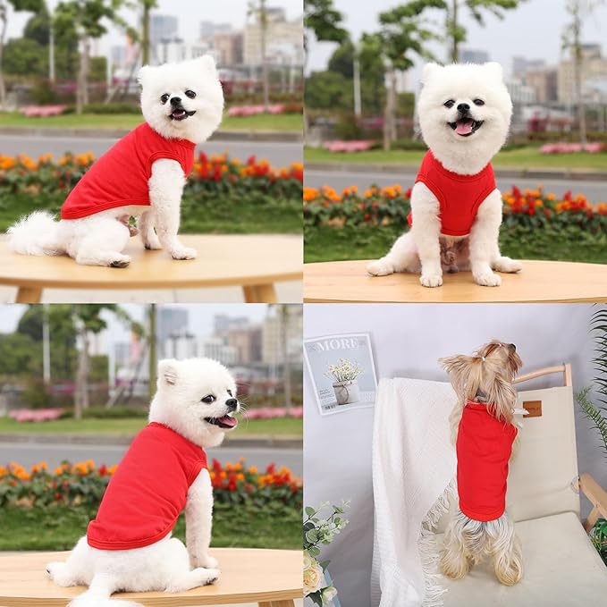 Dog Shirt Vest Clothes for Small Dogs Boy Girl Summer Solid Stretchy Puppy T-Shirts Soft Cool Breathable Lightweight Dog Sweatshirt Pet Cat Outfit