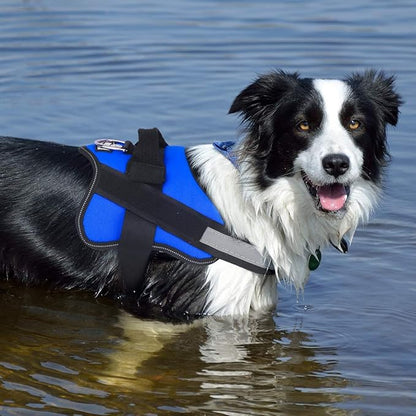 Bolux Dog Harness