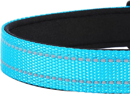 Reflective Dog Collar