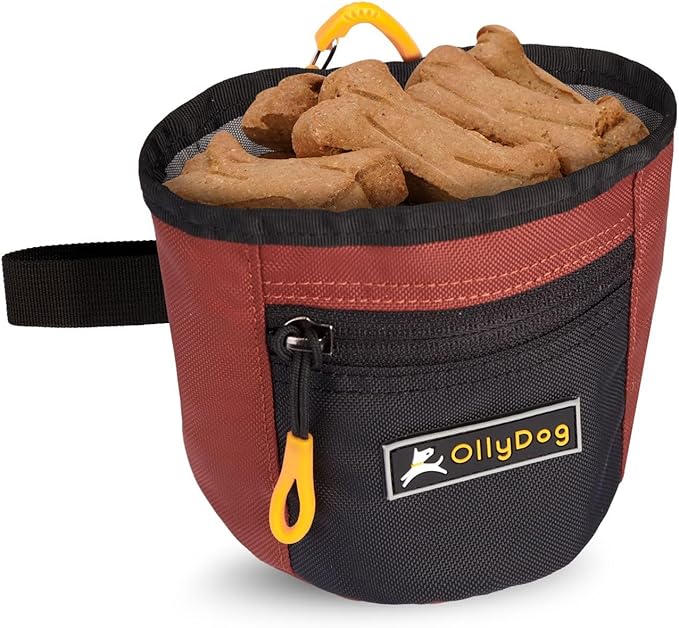 OllyDog Goodie Treat Bag, Dog Treat Pouch, Waist Belt Clip for Hands-Free Training, Magnetic Closure, Dog Training and Behavior Aids, Three Ways to Wear (Cider)