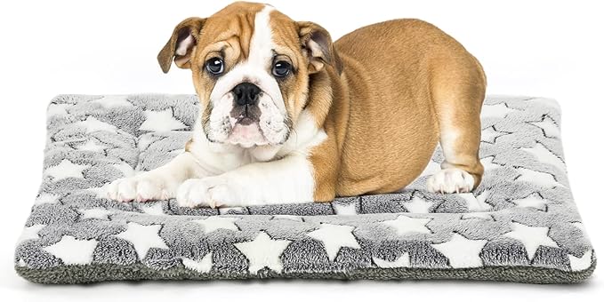 Dog Bed Mat 24-inch Kennel