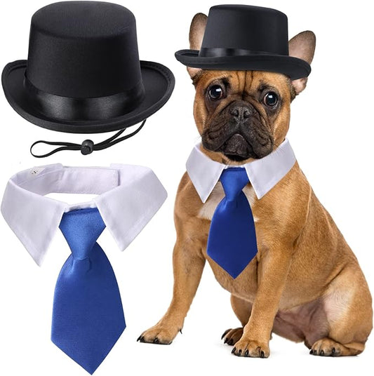 Yewong 2 Pieces Pet Formal Accessories Set - Pet Top Hat with Pet Formal Necktie/Bowtie Birthday Party Gradation Halloween Costumes Accessories for Dog Cat (Blue Necktie Collar) One Size