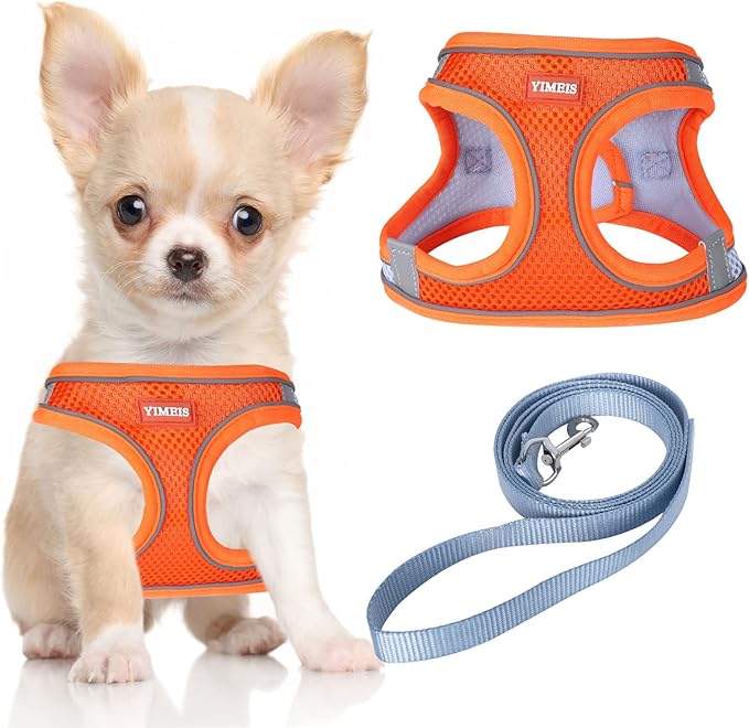 YIMEIS Dog Harness and Leash Set, No Pull Soft Mesh Pet Harness, Reflective Adjustable Puppy Vest for Small Medium Large Dogs, Cats (Orangeblue, X-Small (Pack of 1)