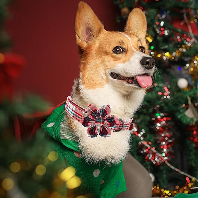 Elegant little tail Dog Collar with Flower