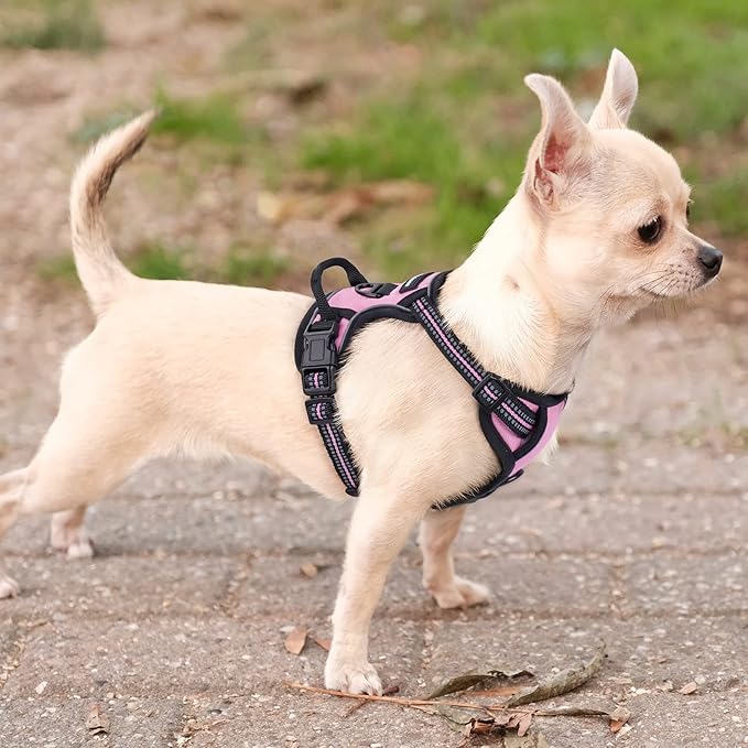 rabbitgoo Dog Harness, No-Pull Pet Harness with 2 Leash Clips, Adjustable Soft Padded Dog Vest, Reflective No-Choke Pet Oxford Vest with Easy Control Handle for Small Dogs, Pink, XS