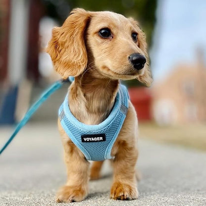 Voyager Step-in Air Dog Harness - All Weather Mesh Step in Vest Harness for Small and Medium Dogs by Best Pet Supplies - Harness (Baby Blue), XX-Small, 207-BBW-XXS