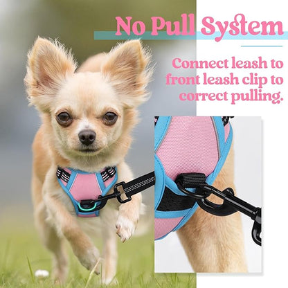 rabbitgoo Dog Harness, No-Pull Pet Harness with 2 Leash Clips, Adjustable Soft Padded Dog Vest, Reflective No-Choke Pet Oxford Vest with Easy Control Handle for Large Dogs, Pink & Blue, X-Small