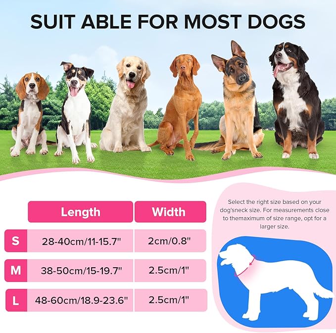 Led Dog Collar for Night Walking