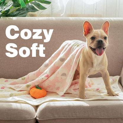 Pet Soft 1 Pack 3 Blankets Dog Blankets Small 3 Pack 3S)