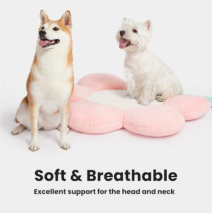 VETRESKA Dog Beds for Medium Small Dogs 33.5Inches Cute