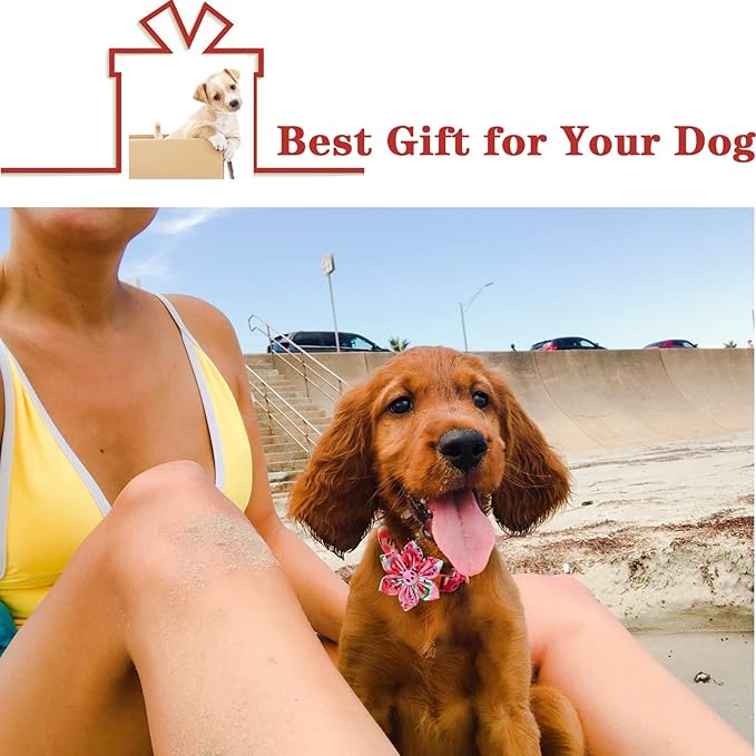 Unique style paws Dog Collar with Flower Tie Cotton Watermelon Collar Adjustable Summer Collar for Small Medium Large Dogs