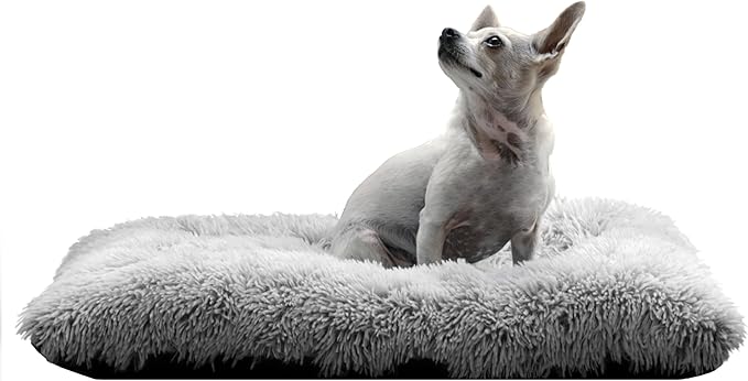 Washable Dog Cat Bed 31L x 21W x 5Th inches)